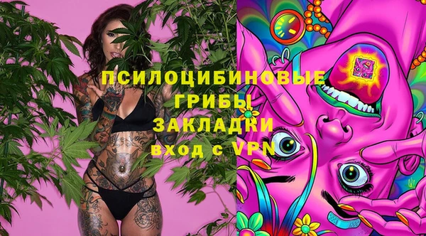 скорость Абаза